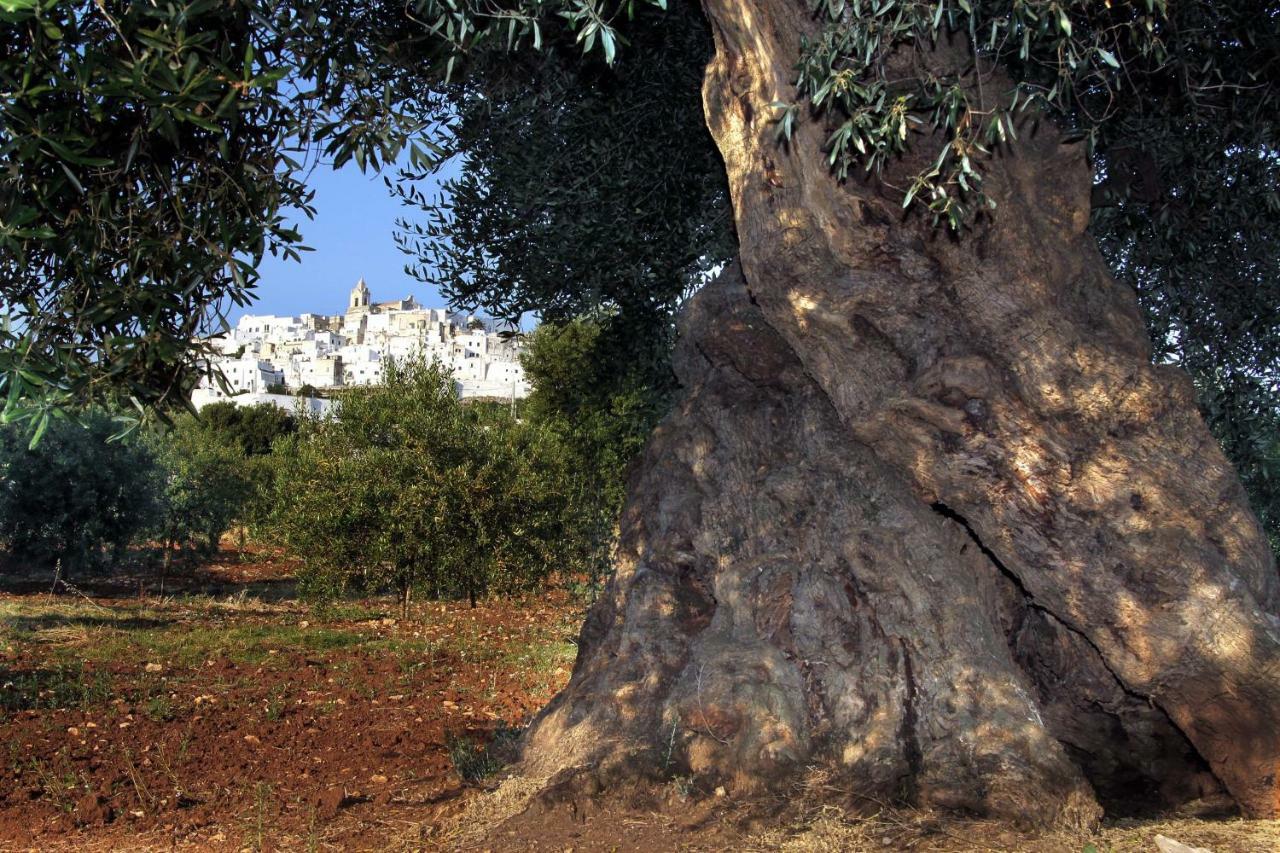 B&B La Stradella Ostuni Eksteriør bilde